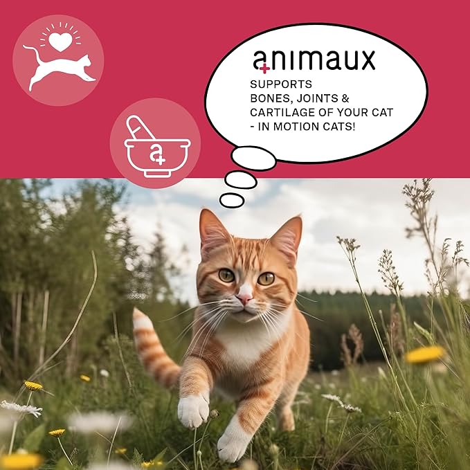 animaux - in Motion Cats, Green-lipped Mussel, Devil's Claw, Rose Hip & Ginkgo, Support for Bones, Joints, Cartilage, tendons, with Hyaluron, Collagen, 90 chewable Tablets, 90 Days Supply
