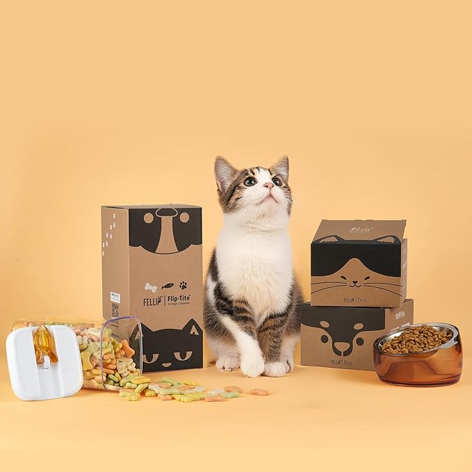 Felli Pet Oblik Acrylic Raised Dog Food Water Bowl Stainless Steel Slanted Oval Dish for Short Leg Puppy & Small Medium Pet, Elevated Tilted Metal Feeder Angled Plastic Spill Proof (1.5Cups, Gold)