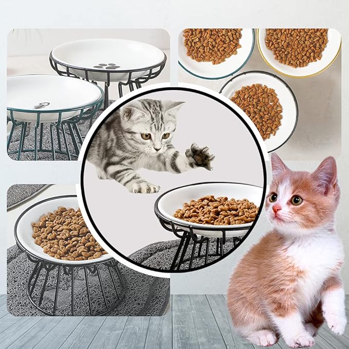 Cat Bowls, Elevated Cat Bowl, Raised Ceramic Dish with Metal Stand, Pet Water or Food Feeding Station for Indoor Cats, Kitten, Puppies and Small Dogs, Dishwasher Safe