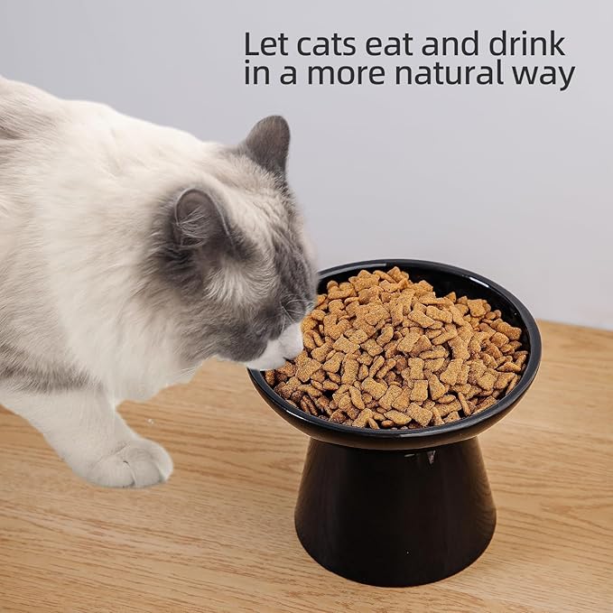 6.2 Inch Extra Wide Elevated Ceramic Cat Bowls, Food and Water Bowl Set for Elder Big Cats Small Dogs, Raised Design for Pet Easy Eating, Protect Cat's Spine Set of 4(Black)