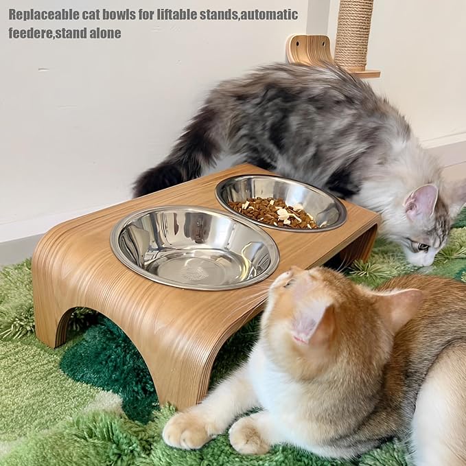 Stainless Steel Cat Bowls, 8 Pcs, 5.5 Inches, Shallow Design, Multifunctional Feeder for Cats & Kittens