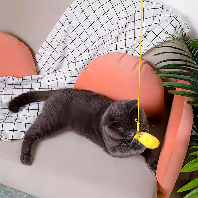 5 PCS Interactive Cat Feather Toys, Hanging Door Cat Toy Retractable Cat Teaser Toys Indoor Feather Kitten Fun Mental Physical Exercise Kitten Toys