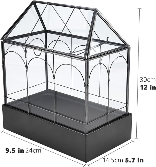 HighFree Glass Terrarium with Metal Tray, Glass Greenhouse Terrarium Kit for Succulents, Cacti, Snails, Spiders, and Miniature Reptiles, Black (Large-9.45" L x 5.7" W x 11.8" H)