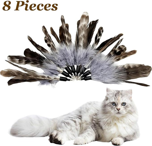 Cat Feather Toy Refills, 8 Pieces Natural Da Bird Feathers Refills, Cat Wand Replacement Feathers for Cat Toys