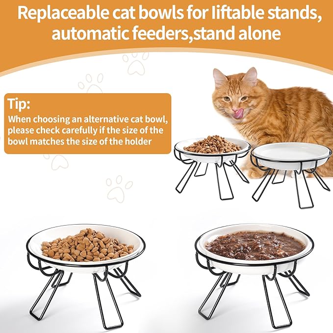 Presents The Ultimate Cat Dining Set: 5.9 inch Ceramic Water Bowl and Whisker-Friendly and Anti-Vomiting Plates.Elevated Bowl, Raised Ceramic Dish with Metal Stand