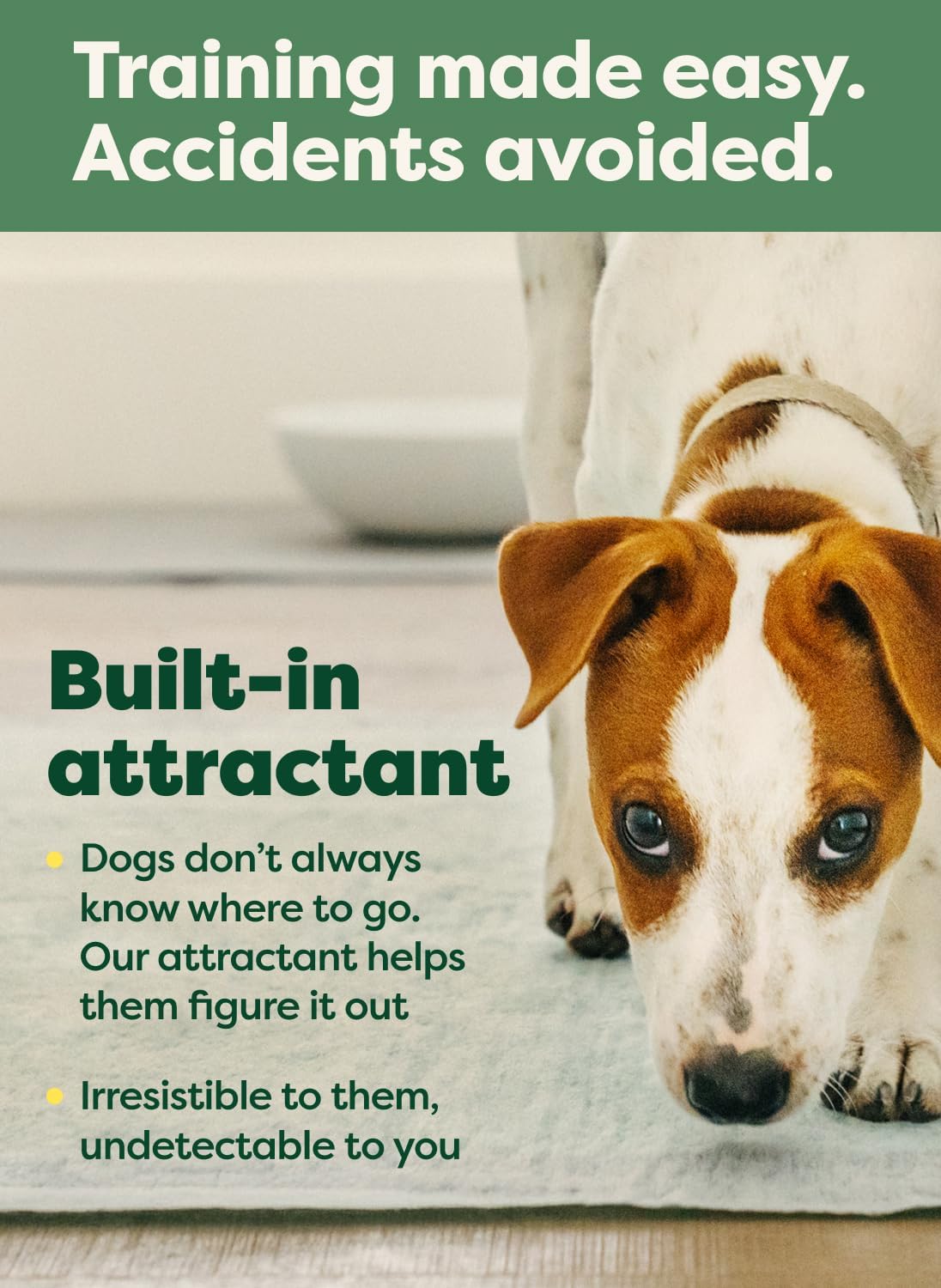 Earth Rated Max Absorbency Puppy Pee Pads for Dogs Absorbs 2X Faster & 2X More, Leak-Proof Odor-Free Potty Training Wee Wee Pad, Unscented, Large, 22” x 23”, 40 Count