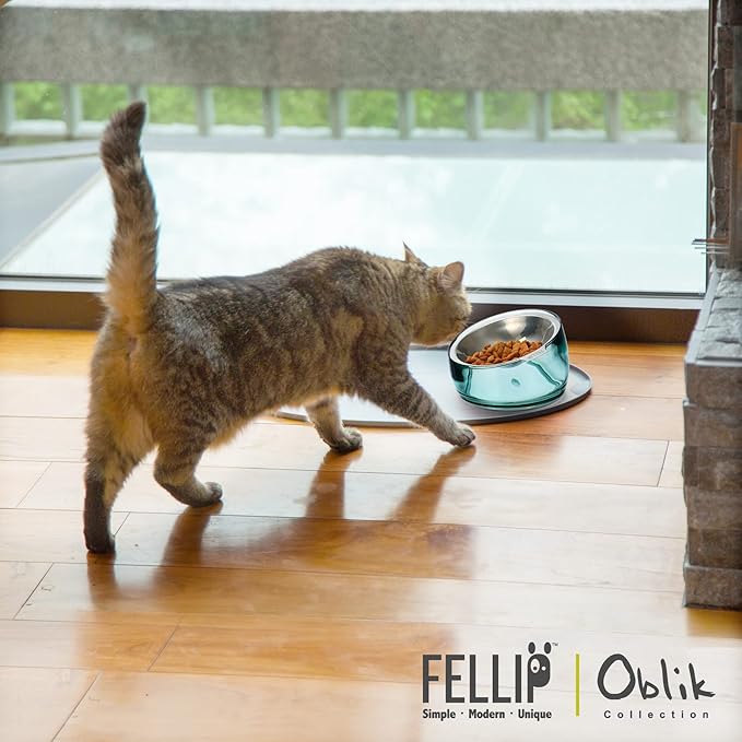 Felli Oblik Elevated Cat Food Bowls 304 Stainless Steel Removable Flat Dish for Whisker Fatigue & Dishwasher Easy Clean, Raised 15° Tilted Stand Non Slip, Wide Metal Plate Anti Vomit (0.5Cup, Classic)