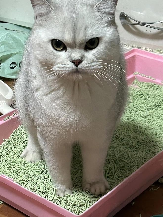 Tofu Cat Litter Green Tea 5.5 Lbs, Flushable Clumping Fast Drying, Ultra Absorbent, Low Tracking Cat Litter 2mm Pellets.