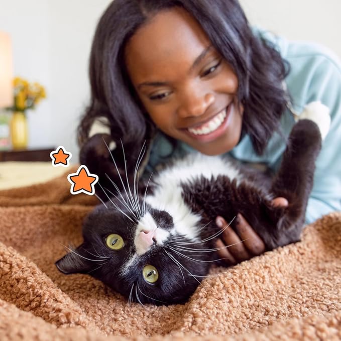 Temptations Classic Crunchy and Soft Cat Treats, Seafood Medley Flavor, 16 oz. Tub