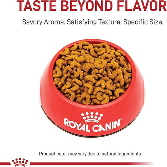 Royal Canin American Shorthair Breed Adult Dry Cat Food, 5.5 lb.