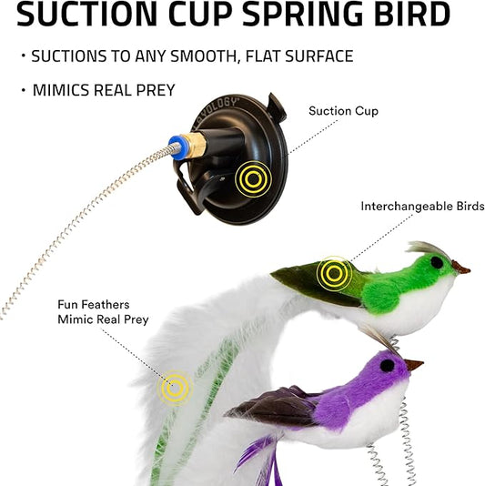 Playology Cat Toy Suction Cup Spring Bird Set | Interactive Toy with Lifelike Feather Birds & 2 Spring Replacements| Secure Suction Cup with Unpredictable Movement | Perfect for Active Indoor Cats
