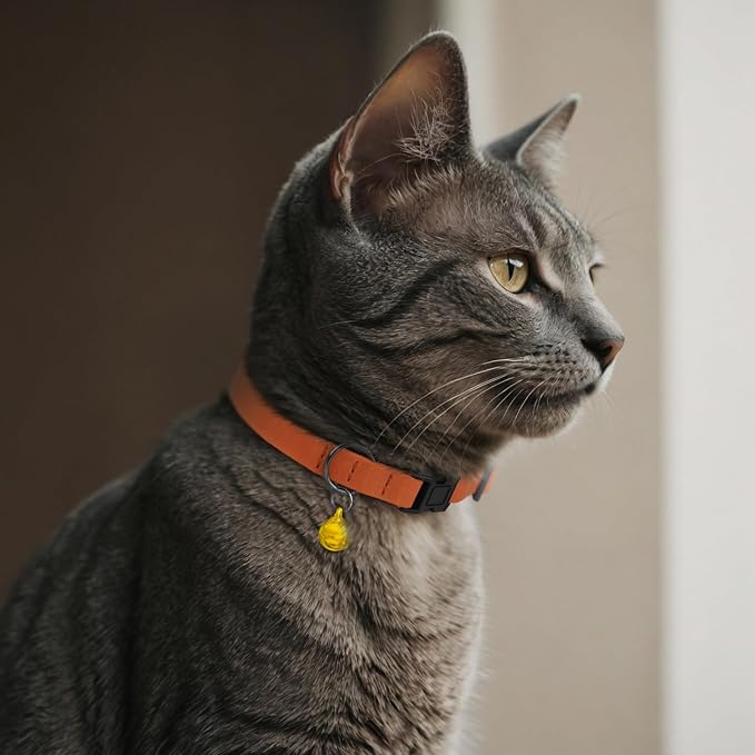 Breakaway Cat Collar Leather with Removable Bell - 13 Colors Available - Soft Adjustable Girl Boy Safety Lightweight Pet Kitten Collars Pink Brown Blue Green Red Orange Black (Denim)
