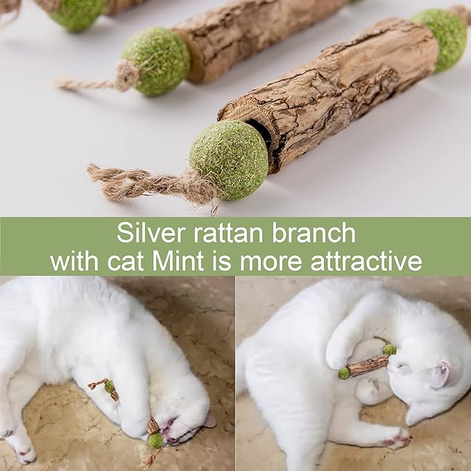 Silvervine Sticks Catnip Toys for Cats, 5 Pack, Interactive Indoor Cat Toy for Teeth Cleaning, Natural Matatabi Chew Treat for Aggressive Chewers
