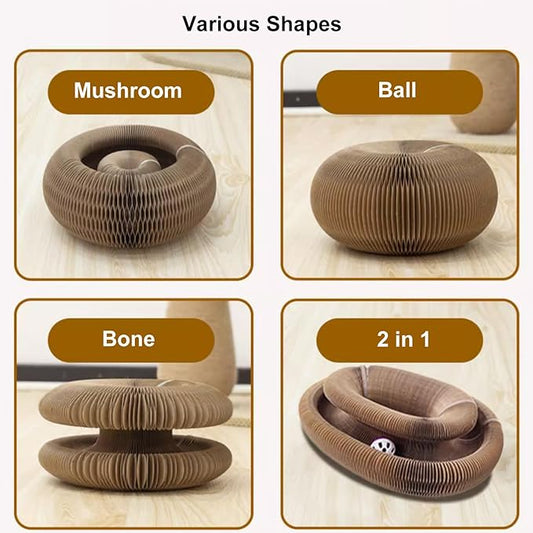 2pcs Magic Organ Cat Scratcher Board, Kitten Interactive Ball Scratching Pad Cardboard Accordion, Foldable Kitty Small Animals Scratch Post Cat Toy for Feline Physical Exercise Entertainment