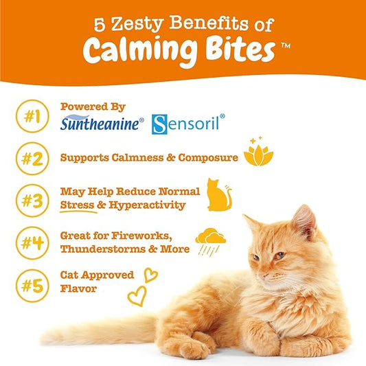 Zesty Paws Calming Chews for Cats - Composure & Relaxation for Everyday Stress & Separation - with Ashwagandha, Organic Chamomile, L-Theanine & L-Tryptophan – Bacon - 60 Count - Cat