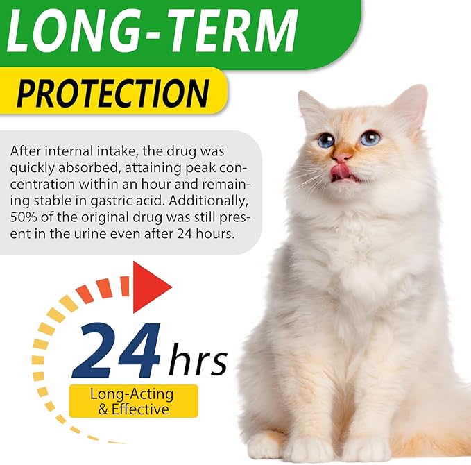 Antibiotics for Cats, Cat Antibiotics for Injections, Natural Cat antibiotic for Immune & Allergy Relief, Cough Relief, Yeast Injection, UTI Treatments, Cats Antibiotic Drops, 60ML