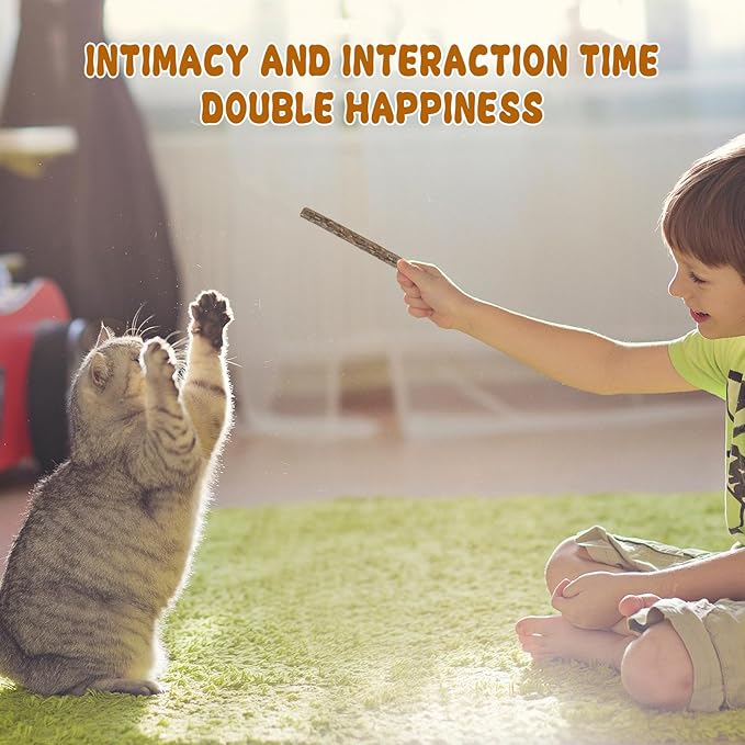 Silvervine Sticks for Cats, Natural Catnip Matatabi Chew Sticks Teeth Molar Chew Toys for Cat Kitten Kitty (at Least 12 PCS)