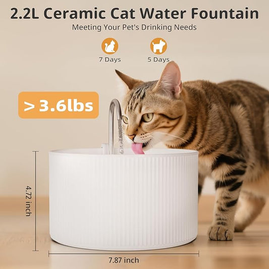 Ceramic Cat Water Fountain, 2.2L/74oz Pet Fountain, Upgraded Units 2.0 Automatic Ceramic Water Fountain for Cats and Dogs, Indoor with Ultra-Quiet Pump and Replacement Filter & Sponge (White)