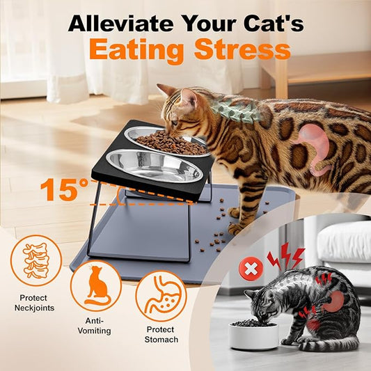 Elevated Cat Food Bowls with Mat Whisker Friendly, 15°Tilted Black Raised Cat Water Dishes Set for Anti Vomit, Pet Holder Stand Feeding Station for Indoor Kitten and Puppy