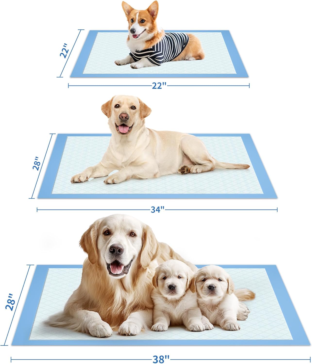 75-Pack XX-Large Puppy Pads - 38" x 28" Pee Pads for Dogs Potty Training with Leak-Proof Quick-Dry Design, 6-Layer Wee Wee Pads for Dogs, Blue