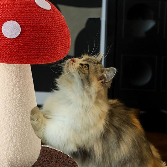 Cat Scratching Post - Mushroom Tall Cat Scratcher Cat Interactive Toys Ideal for Medium and Small Cats, No Assembly Required (Red, Large)