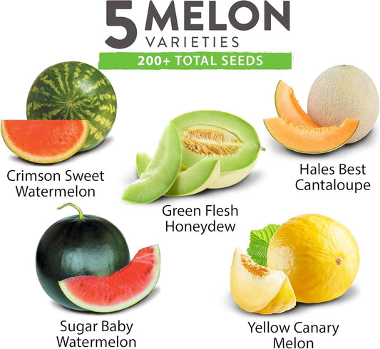 HOME GROWN π¨π¦π π£π₯ππ ππ¨π Melon Seeds Variety Pack 5 π‘π’π‘-ππ π’ Heirloom Vegetable Seeds, Watermelon Cantaloupe Honeydew Sugar Baby & Melon, High Germination for Planting Home Garden Indoors