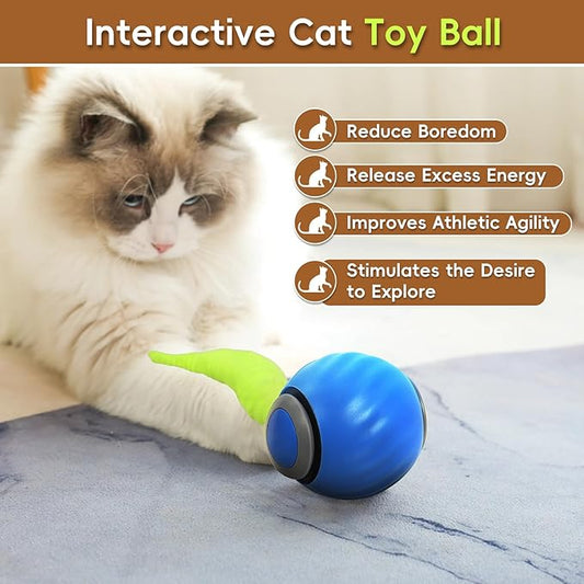 2PCS Speedy Tail Cat Toys 2.0, Interactive Cat Ball Toy for Bored Indoor Cats, Automatic Moving Pet Play Balls, Two Speed Adjustment with Replacement Tail