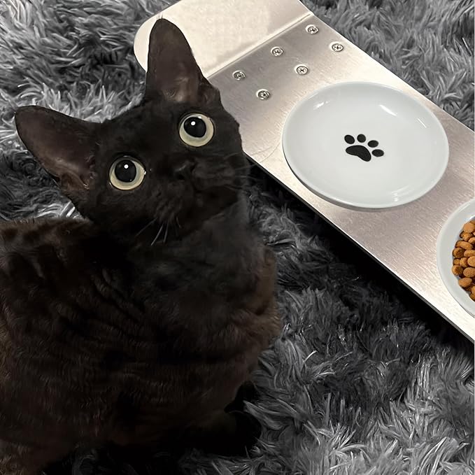 3Pcs Cat Food Bowls, Ceramic Cat Food Bowls with Nonslip Silicone Bottom, Anti Whisker Fatigue Cat Plates for Indoor Cats, Ceramic Pet Bowl with Wide Shallow Kitten Dishes for Dry and Wet Food