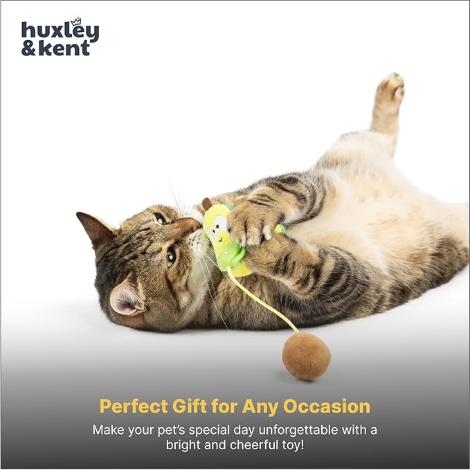 Huxley & Kent Popper Plush Cat Toy - Interactive Catnip Toy for Cats & Kittens - Treat Hiding Soft Toys with Crinkle & Catnip - Fun Indoor Play - Avocado Popper