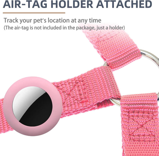 PUPTECK No Pull Dog Harness Soft Adjustable Basic Nylon Step in Puppy Vest Outdoor Walking with ID Tag and A-ir Tag Case, Fuchsia, M