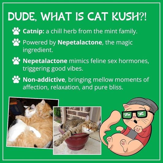 Organic Catnip by Cat Kush, Safe Premium Blend Perfect for Cats, Instilled with Maximized Potency your Kitty is Guaranteed to Go Crazy for! (1 Cup)