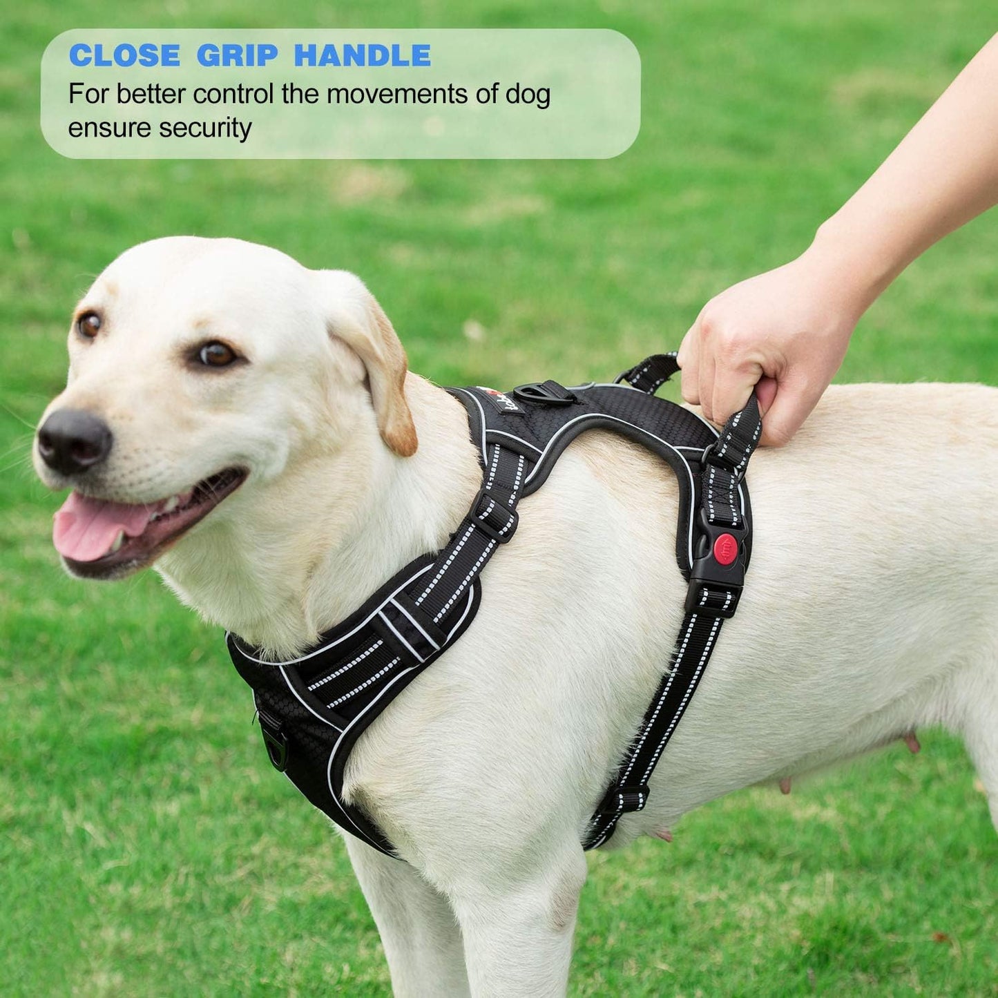 No Pull Dog Harness Adjustable Reflective Oxford Easy Control Medium Large Harness with A Free Heavy Duty 5ft Leash