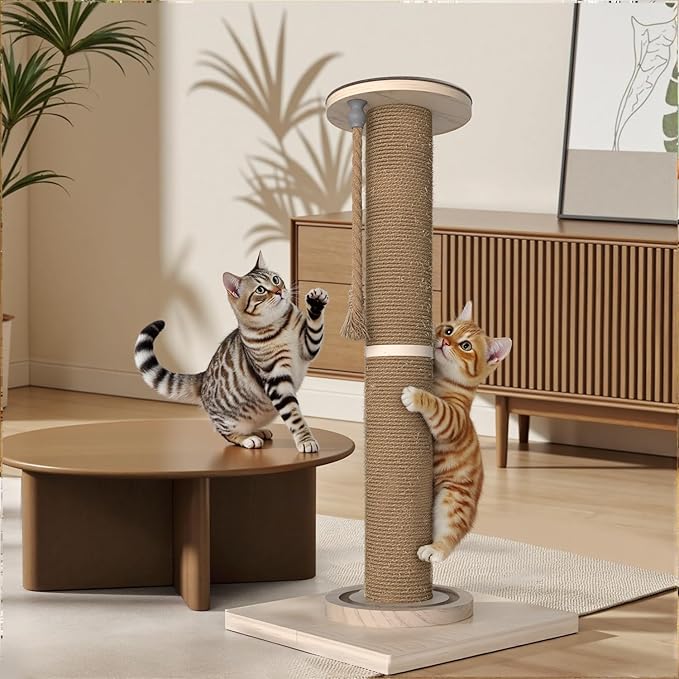 Cat Scratching Post, 32 Inch Tall Scratching Post for Indoor with Hemp Rope and Track Toy Ball Cat Scratcher for Medium and Large Cats