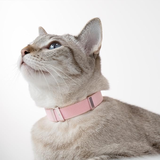 Safety Cat Collar - U.S. IDA Gold Awarding Design, Stretch Elastic Quick Release, Non Breakaway - Light Weight for Kitten, Neck Fit 5.9'-11.8' for All Small Large Cat,S(Blush Pink)
