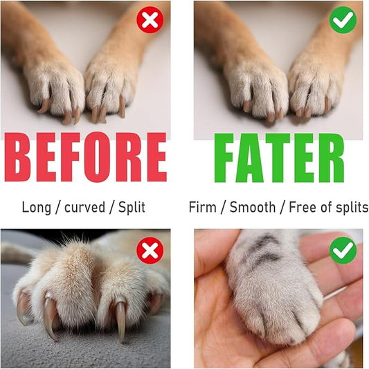 Dog Nail Grinder - 2 Speed Super Quiet and Low Vibration Electric Pet Nail Grinder - Rechargeable Dog Nail Trimmers for Small Dogs- Cat Nail Claw Clippers with 2 Level LED Lighting(Black)