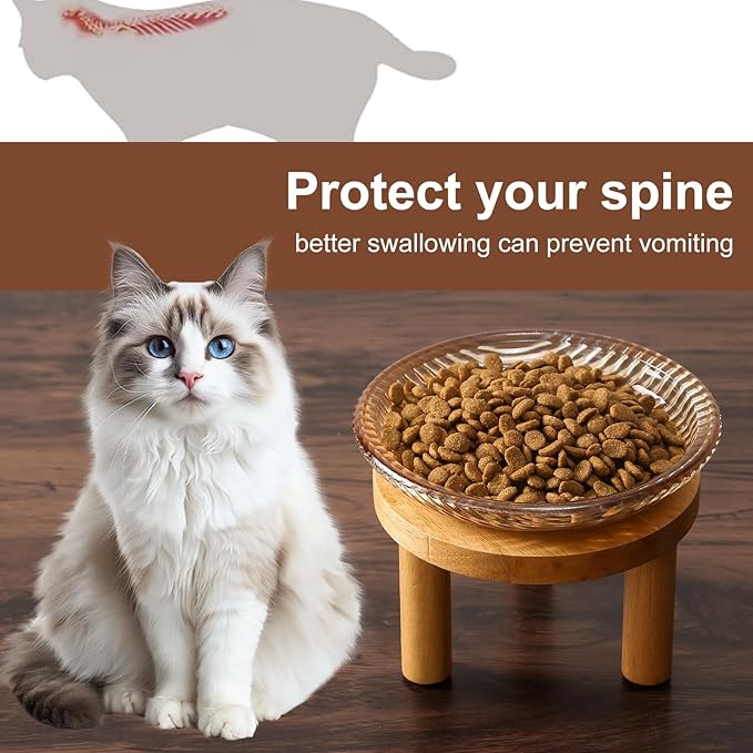 Cat Bowls Whisker Friendly with Wooden Stands. Raised Elevated Glass Whisker Fatigue Cat Bowl for Indoor Cats. 2PCS (Amber)