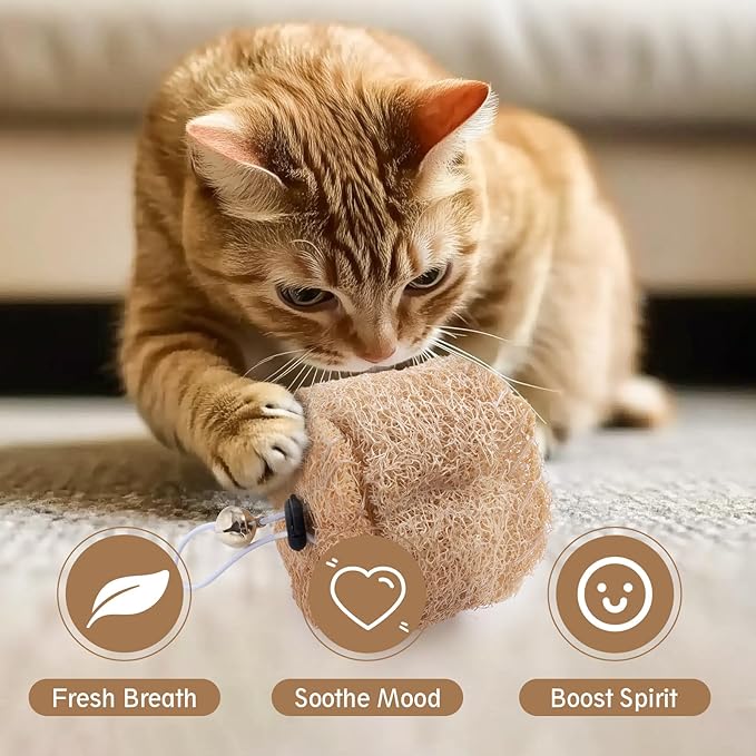 Natural Loofah Replacement Cat Toy Wand Refills, Cat Chew Toy-Handmade Gum Massage Teether w/Catnip,Teeth Cleaning Toys for Aggressive Chewers,Safe Kitten Bite Relief & Stress Relief, 2 Pack