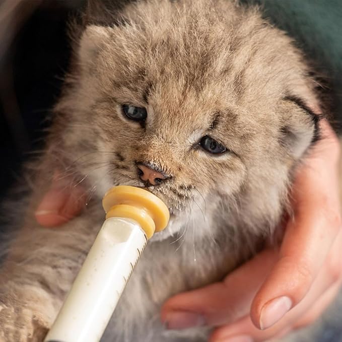 Suxgumoe Pet Feeding Bottle Set, Feeding Silicone Nipple with Bottle and Syringes, Reusable Pet Nursing Kits Feeding Tools for Rabbits, Small Animals (3 Nipples+5 Syringes + 1 Measuring Cup)