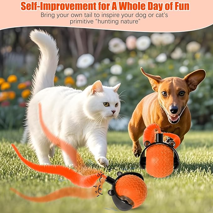 Cat Toys for Indoor Cats, Interactive Cat Toys for Bored Indoor Adult Cats, Automatic Speedy Ball Interactive, Electronic Rollie Pet Chase, Smart Interactive Tail Balls for Kittens (Orange)