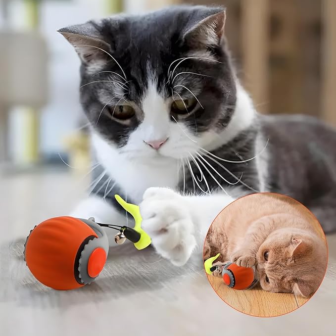 2 Pack Interactive Cat Toy Ball, Cat Enrichment Toys for Indoor Cats for Bored Indoor Adult Cats, Motion Activated