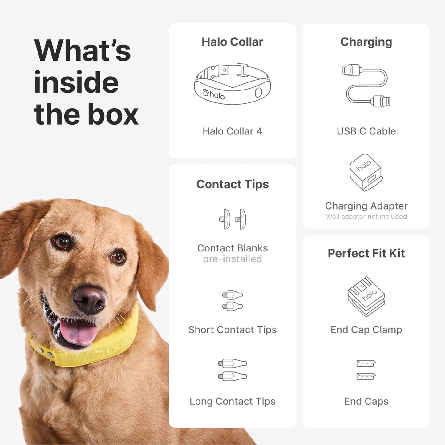 Halo Collar 4, All New GPS Wireless Dog Fence & Dog Training Collar with GPS Tracker, Subscription Required, Waterproof, One Size, Orchid