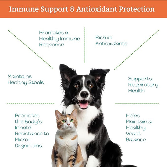 Immune-ity for Cats & Dogs - Herbal Health Supplement, Immune Support, Antioxidants, Yeast Balance, Healthy Stools, Microbiome Support, 1 Fluid Ounce Glass Bottle, Manufactured in The USA