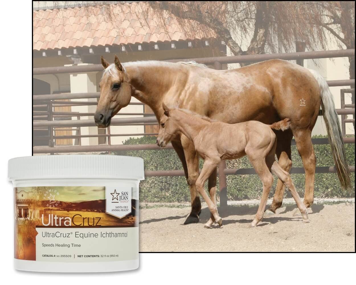 UltraCruz® Equine Ichthammol, 32 oz