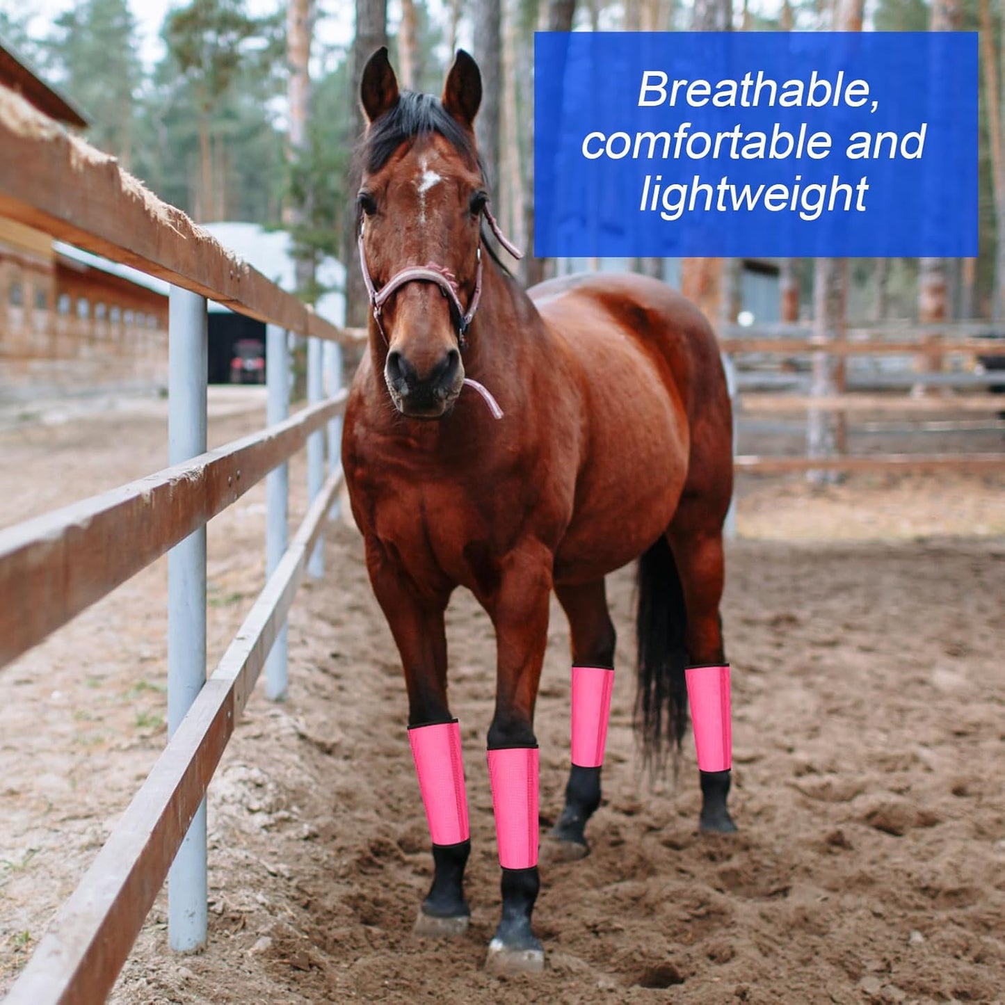 8 Pcs Mesh Fly Boots for Horse Breathable Mesh Horse Boots Protective Horse Leg Wraps Horse Leggings for Preventing Flies and Mosquitoes Bites (Light Pink, Dark Pink)