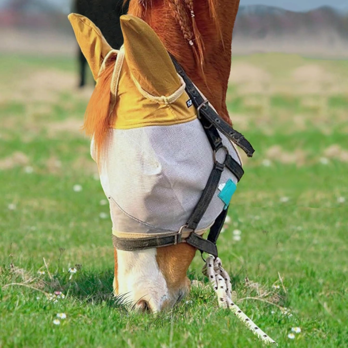 Fly Masks for Horses, 70% Uv-Block, Breathable Fly Mask for Equines, Durable, Comfortable Fit for All-Day Protection, Horse Size (Horse Fly Mask, with Ears)