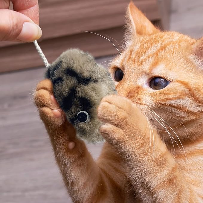 Cat Toys for Indoor Cats,Interactive Door Hanging Cat Toys Attached with Catnip/Feathers/Birds/Mouse Toys for Cats/Kitten Toys(3 Pack)