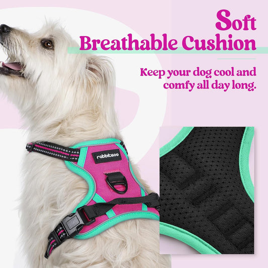 rabbitgoo Dog Harness No Pull with 2 Leash Clips, Adjustable Soft Padded, Reflective Oxford No Choke Pet Vest with Easy Control Handle for Large Dogs, Hot Pink & Turquoise, XS