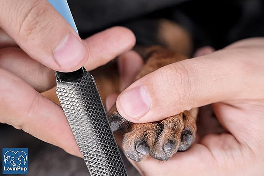Dog Nail Filer, Professional Nail Grooming Tool, Dog and Cat Nail Files, for Smoothing Rough Edges of Pet’s Nails, Best Nail Filer for Small/Large Dogs & Cats (1 Dog Nail Filer)