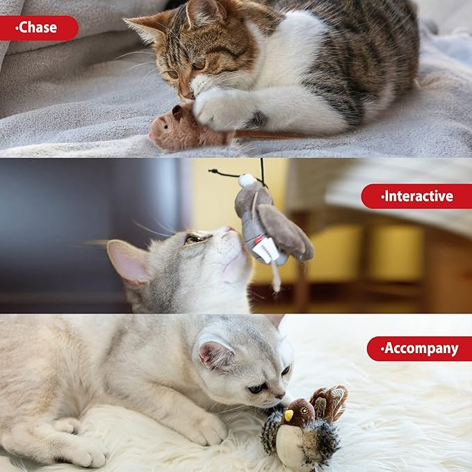 Gigwi Interactive Toy Set for Indoor Cats - 3PCS Plush Pack Including Squeaky Feather, Mouse Hunt, Chase Bird, and Chirping Cricket Toys