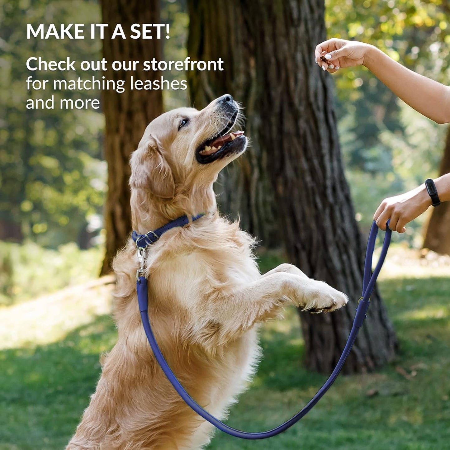 CollarDirect Rolled Leather Dog Collar, Soft Padded Round Puppy Collar, Handmade Genuine Leather Collar Dog Small Large Cat Collars 13 Colors (15-19 Inch, Deep Blue Smooth)